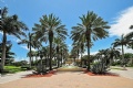 Valencia Palms
